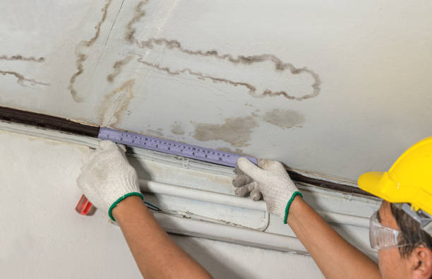 Reliable Structural Drying contractor in Lennon, MI by Water Damage Irwin